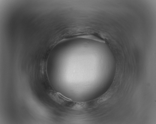 X0000075370720200609151702