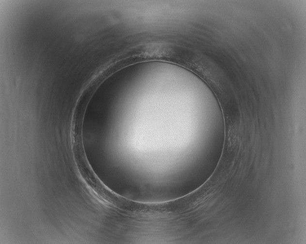 X0000075370722200609151702
