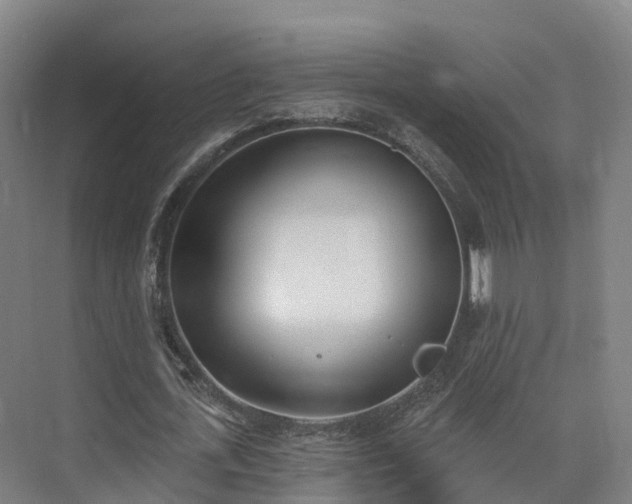 X0000075370723200609151702