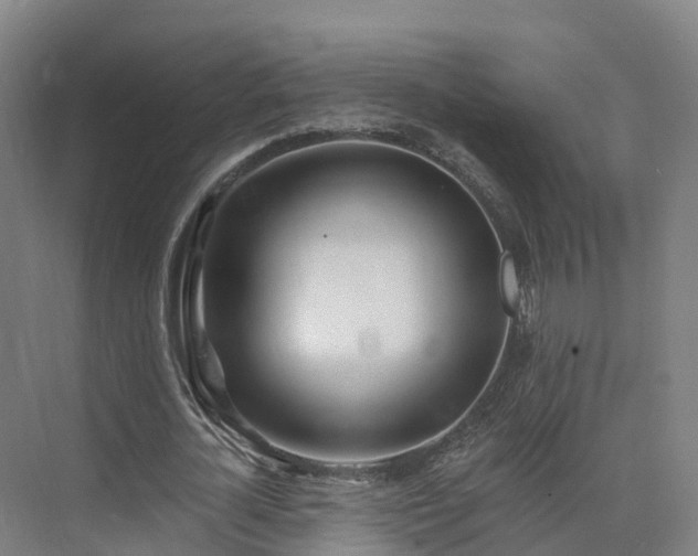 X0000075370724200609151702