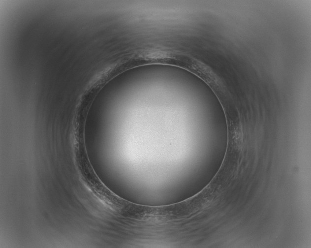 X0000075370732200609151702