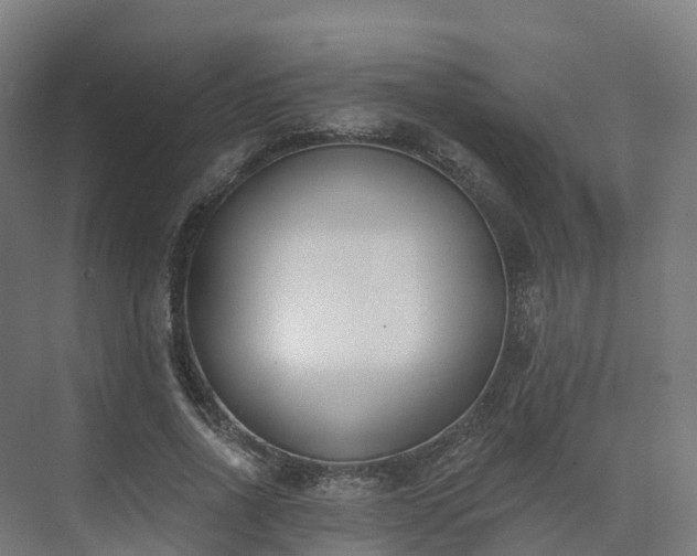 X0000075370734200609151702