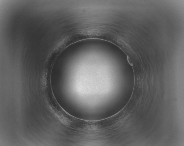 X0000075370735200609151702