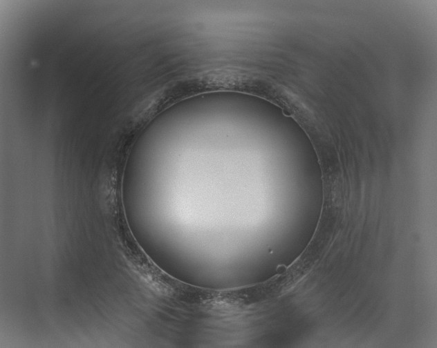 X0000075370737200609151702