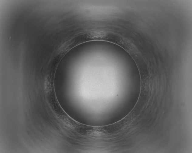 X0000075370743200609151702