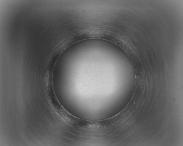 X0000075370744200609151702