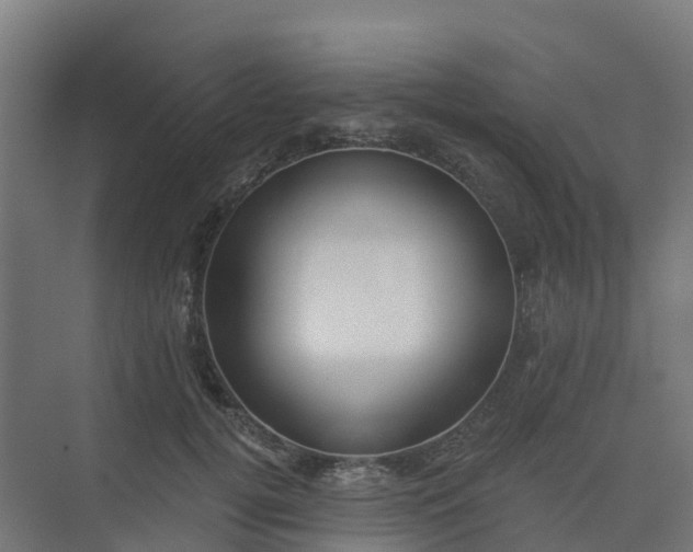 X0000075370752200609151702