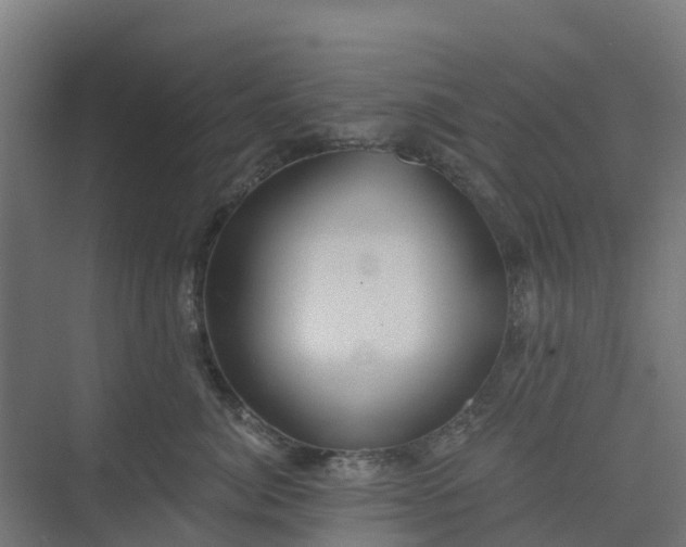 X0000075370764200609151702