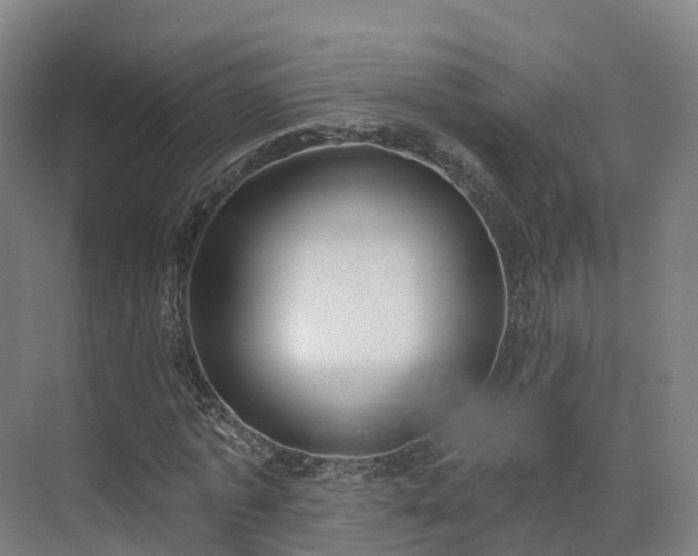 X0000075370773200609151702