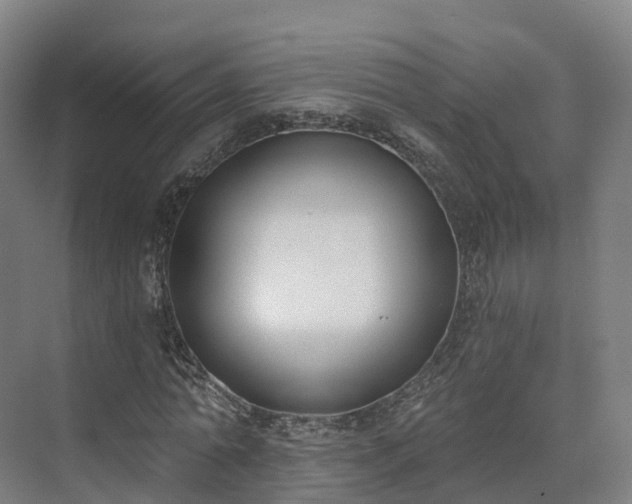 X0000075370774200609151702