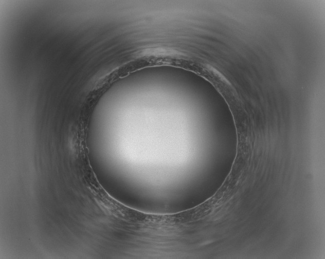 X0000075370775200609151702