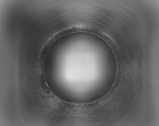 X0000075370776200609151702