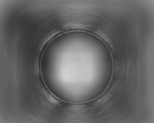 X0000075370782200609151701