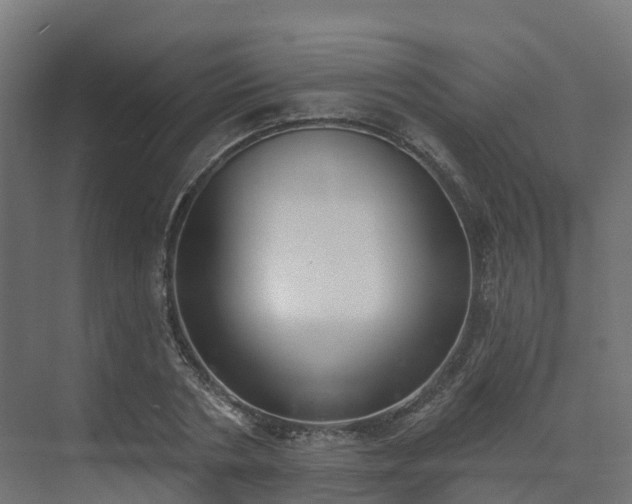 X0000075370786200609151701
