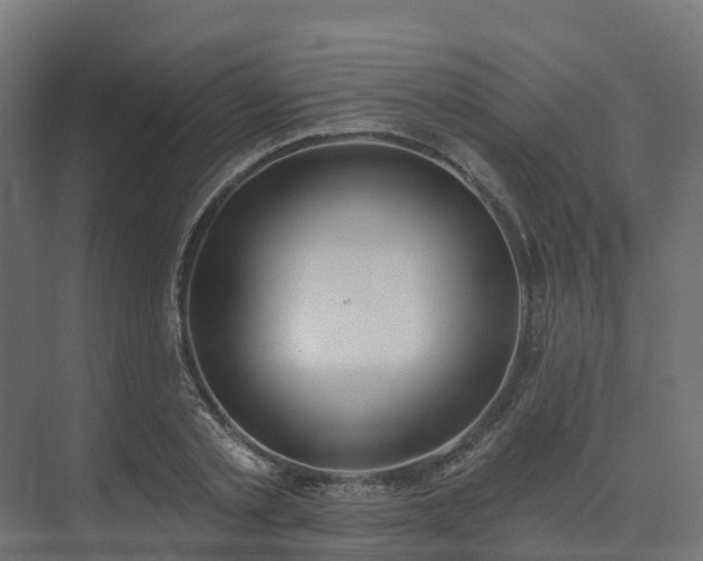 X0000075370789200609151701