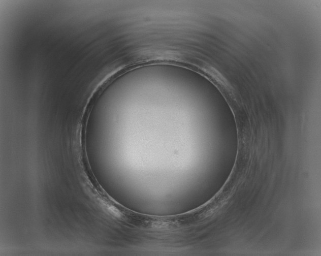 X0000075370790200609151701