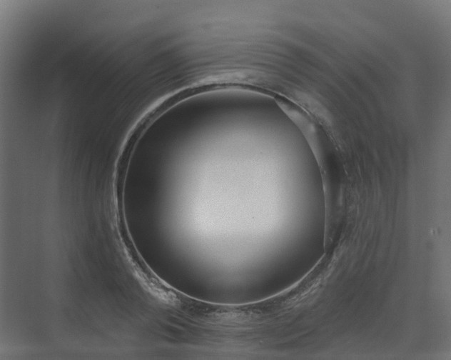 X0000075370792200609151701