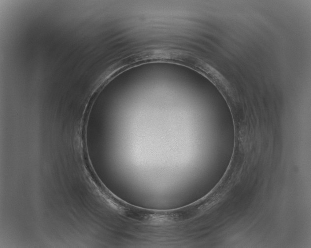 X0000075370794200609151701