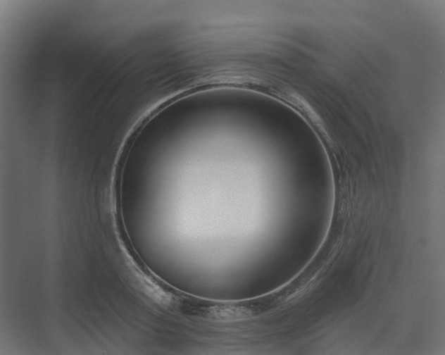 X0000075370795200609151701