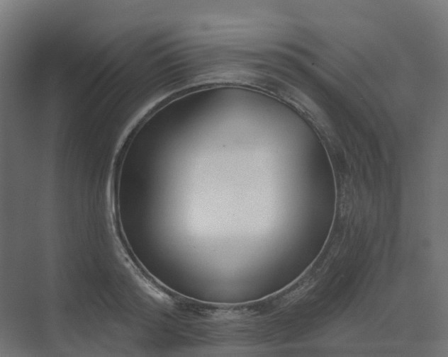 X0000075370796200609151701