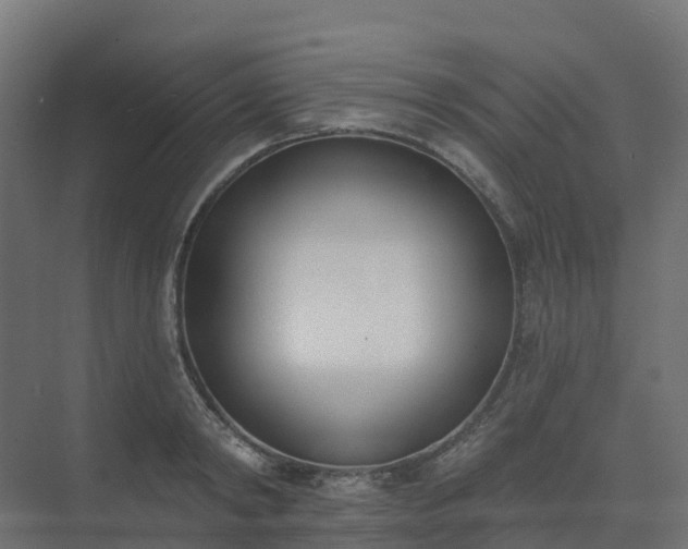 X0000075370798200609151701
