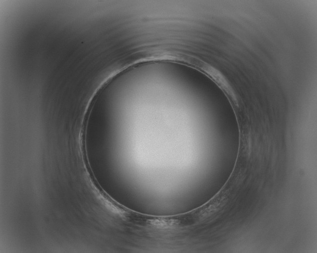 X0000075370805200609151701