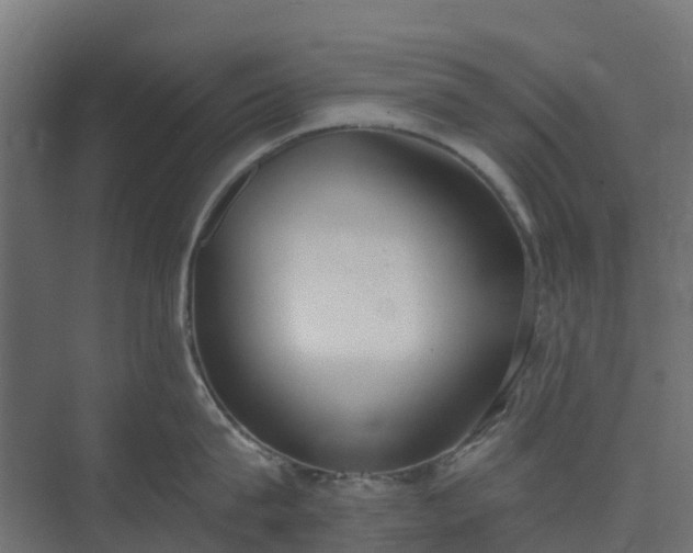 X0000075370815200609151701
