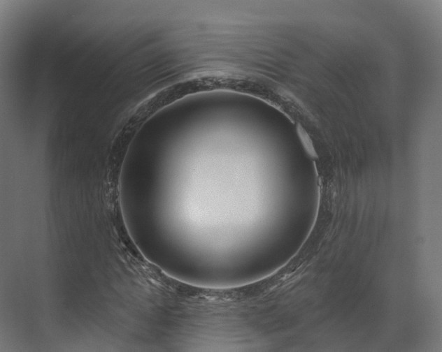 X0000075370822200609151700
