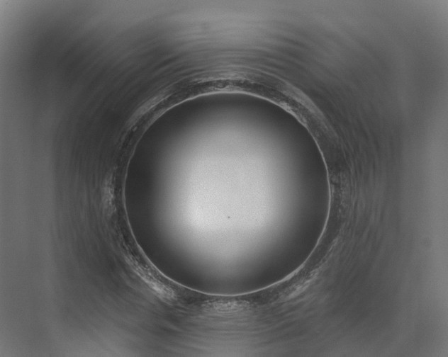 X0000075370826200609151700