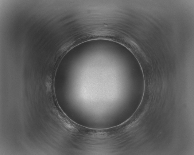 X0000075370833200609151700