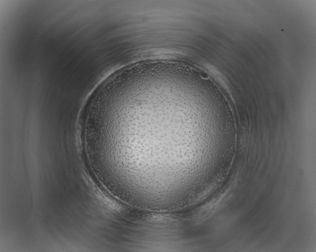 X0000075370835200609151700