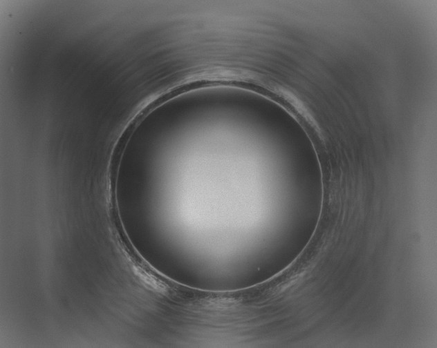 X0000075370837200609151700