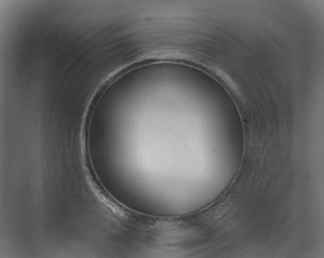 X0000075370840200609151700