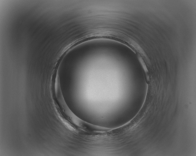 X0000075370842200609151700