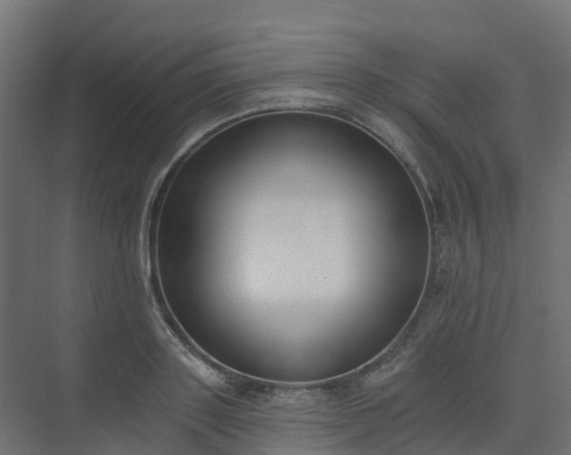 X0000075370843200609151700