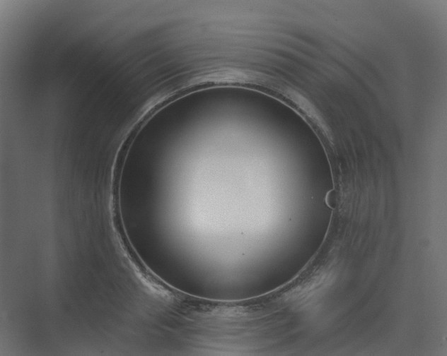 X0000075370845200609151700
