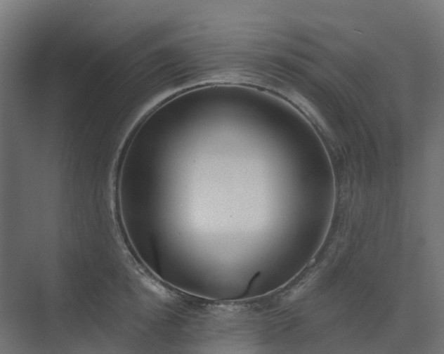 X0000075370854200609151701