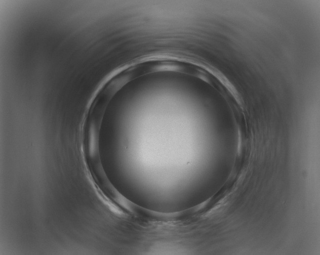 X0000075370862200609151701
