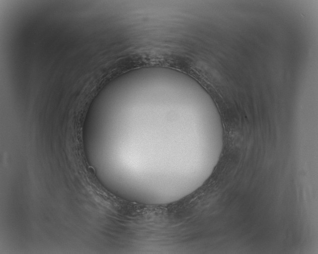 X0000075370865200609151700