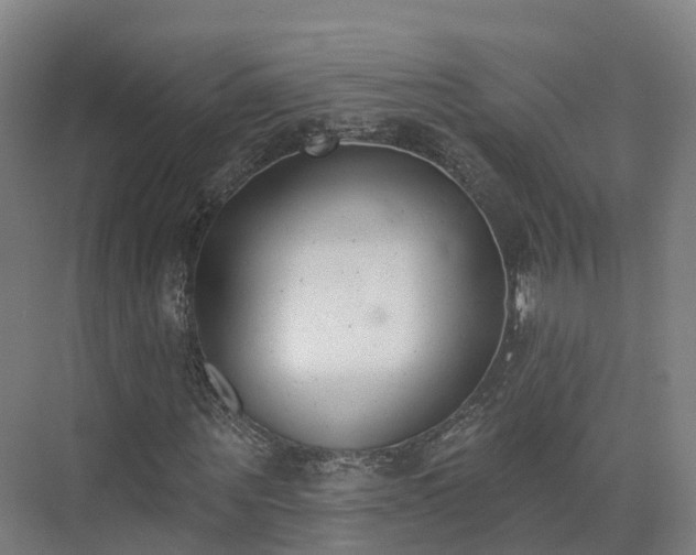 X0000075370867200609151700