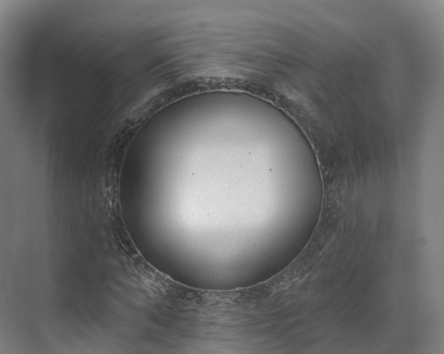 X0000075370870200609151700