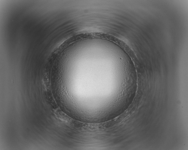 X0000075370871200609151700
