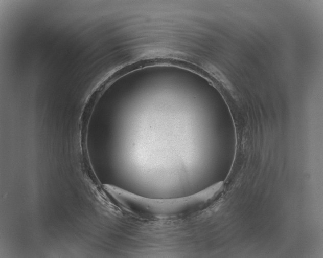 X0000075370877200609151700
