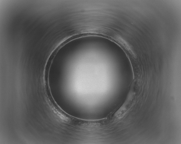 X0000075370884200609151700