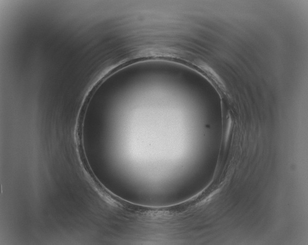 X0000075370893200609151700