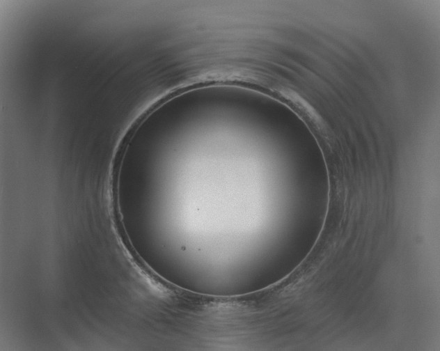 X0000075370894200609151700