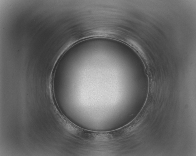 X0000075370899200609151659