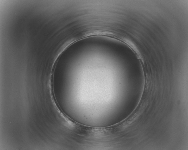 X0000075370906200609151659