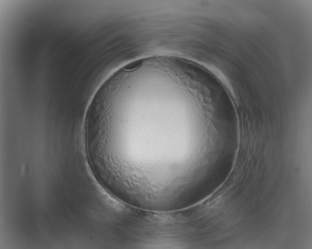 X0000075370911200609151659