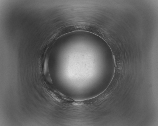 X0000075370916200609151658